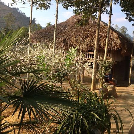 Sa House Bac Ha Lägenhet Exteriör bild