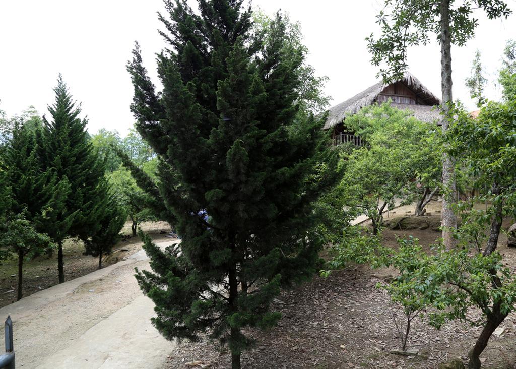 Sa House Bac Ha Lägenhet Exteriör bild