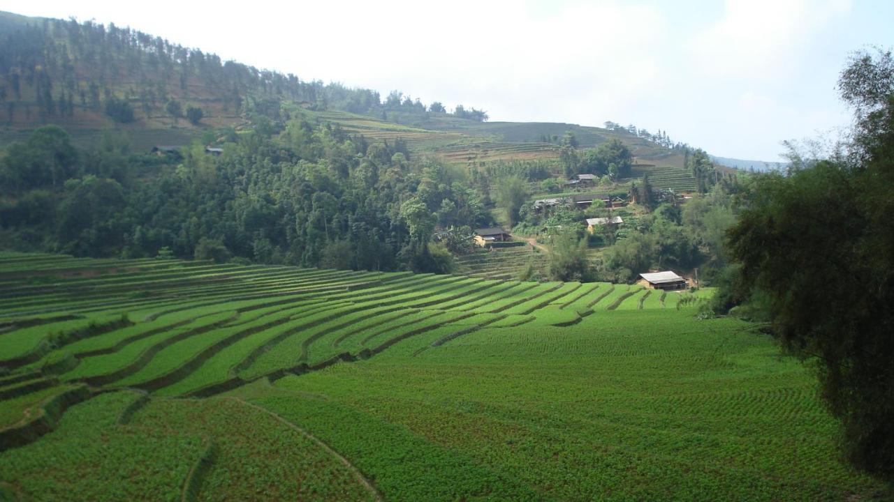 Sa House Bac Ha Lägenhet Exteriör bild