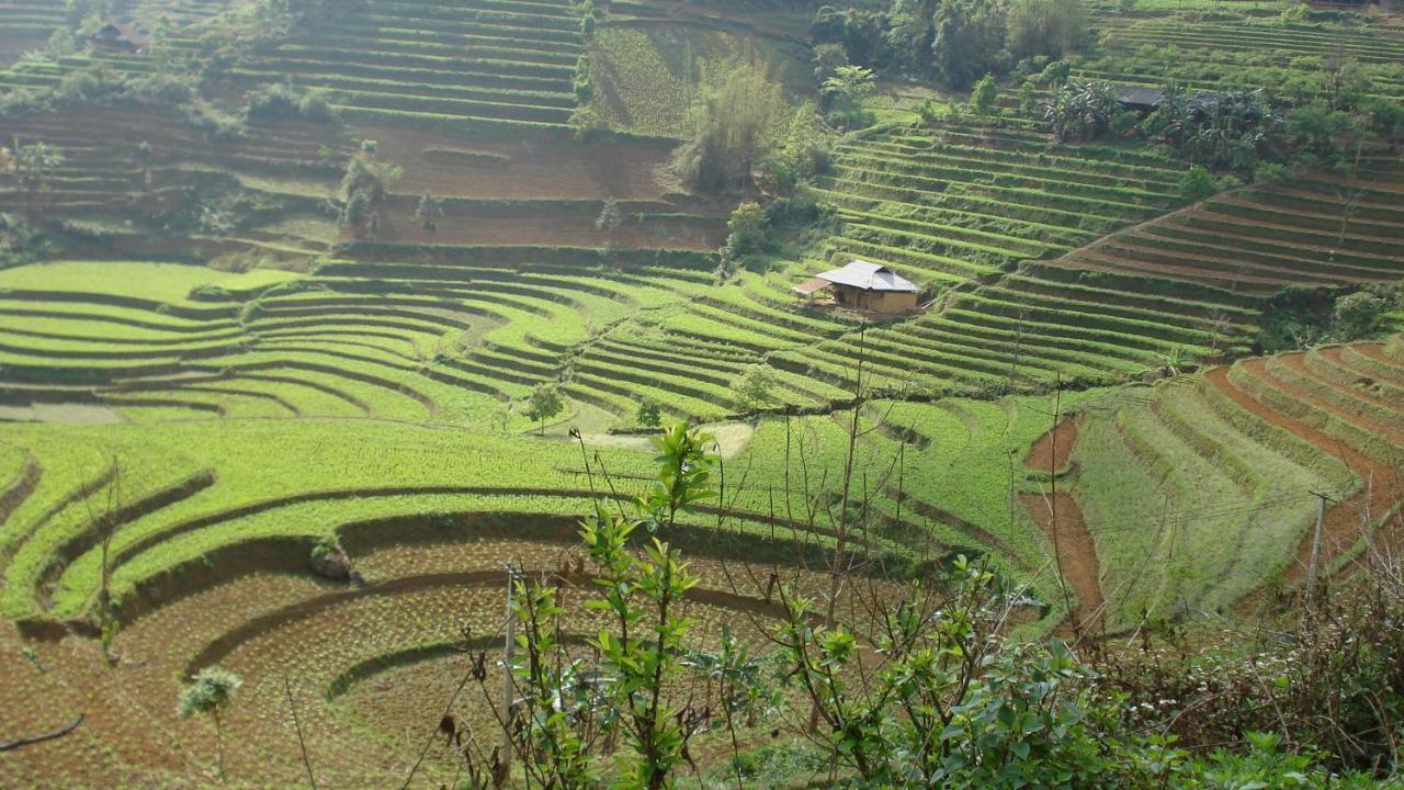Sa House Bac Ha Lägenhet Exteriör bild