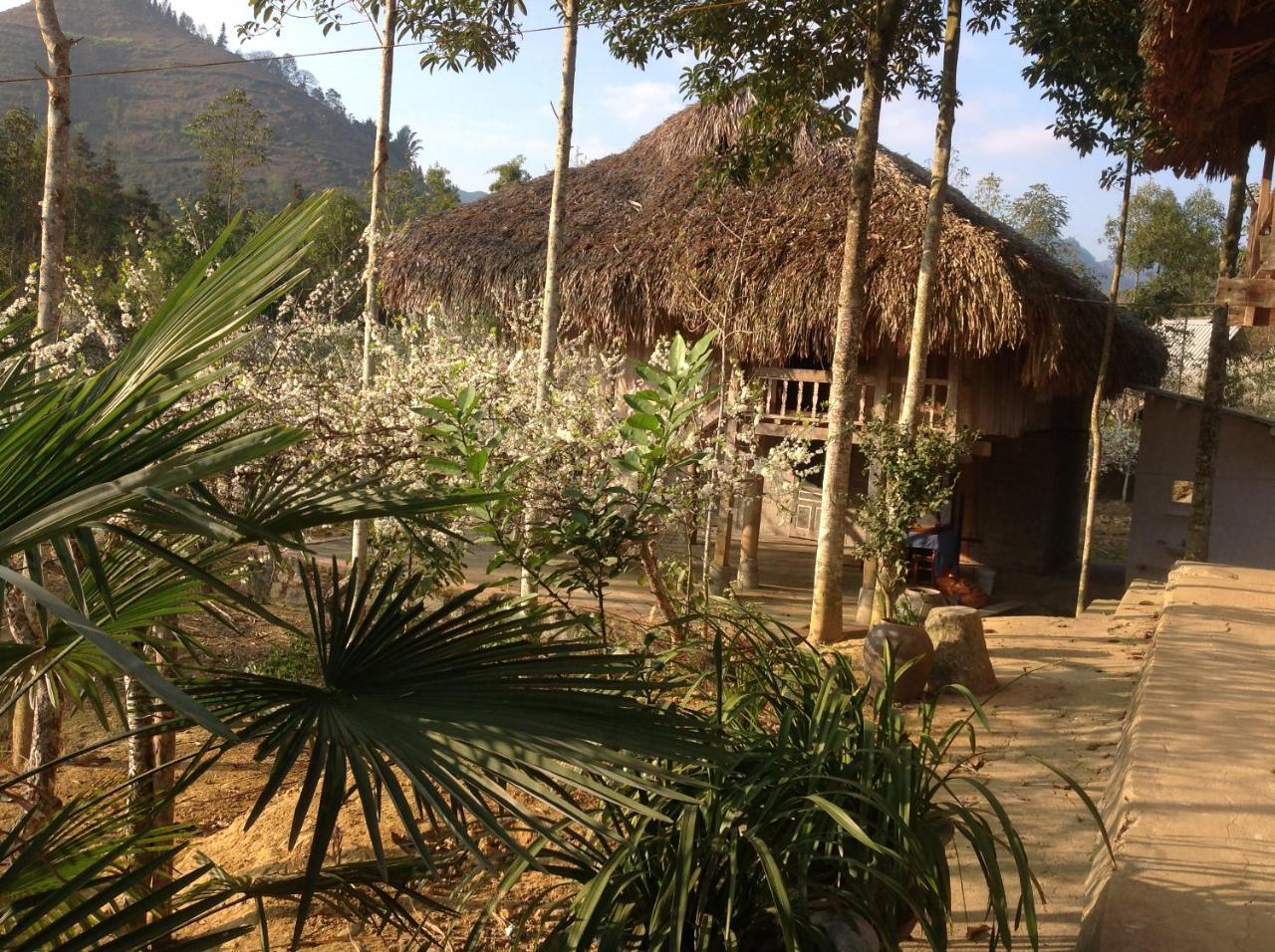 Sa House Bac Ha Lägenhet Exteriör bild