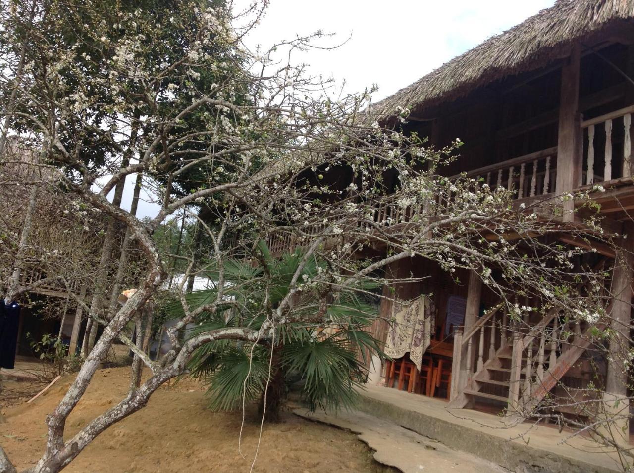 Sa House Bac Ha Lägenhet Exteriör bild