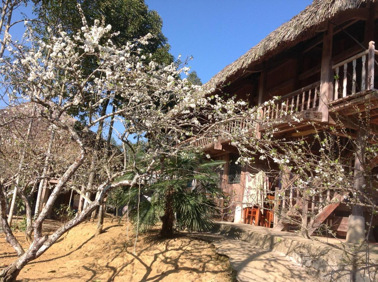Sa House Bac Ha Lägenhet Exteriör bild