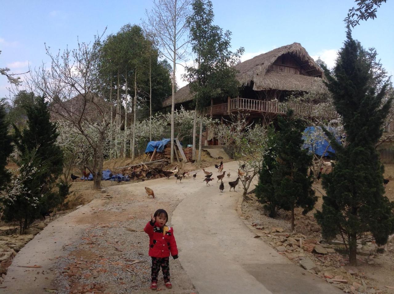Sa House Bac Ha Lägenhet Exteriör bild
