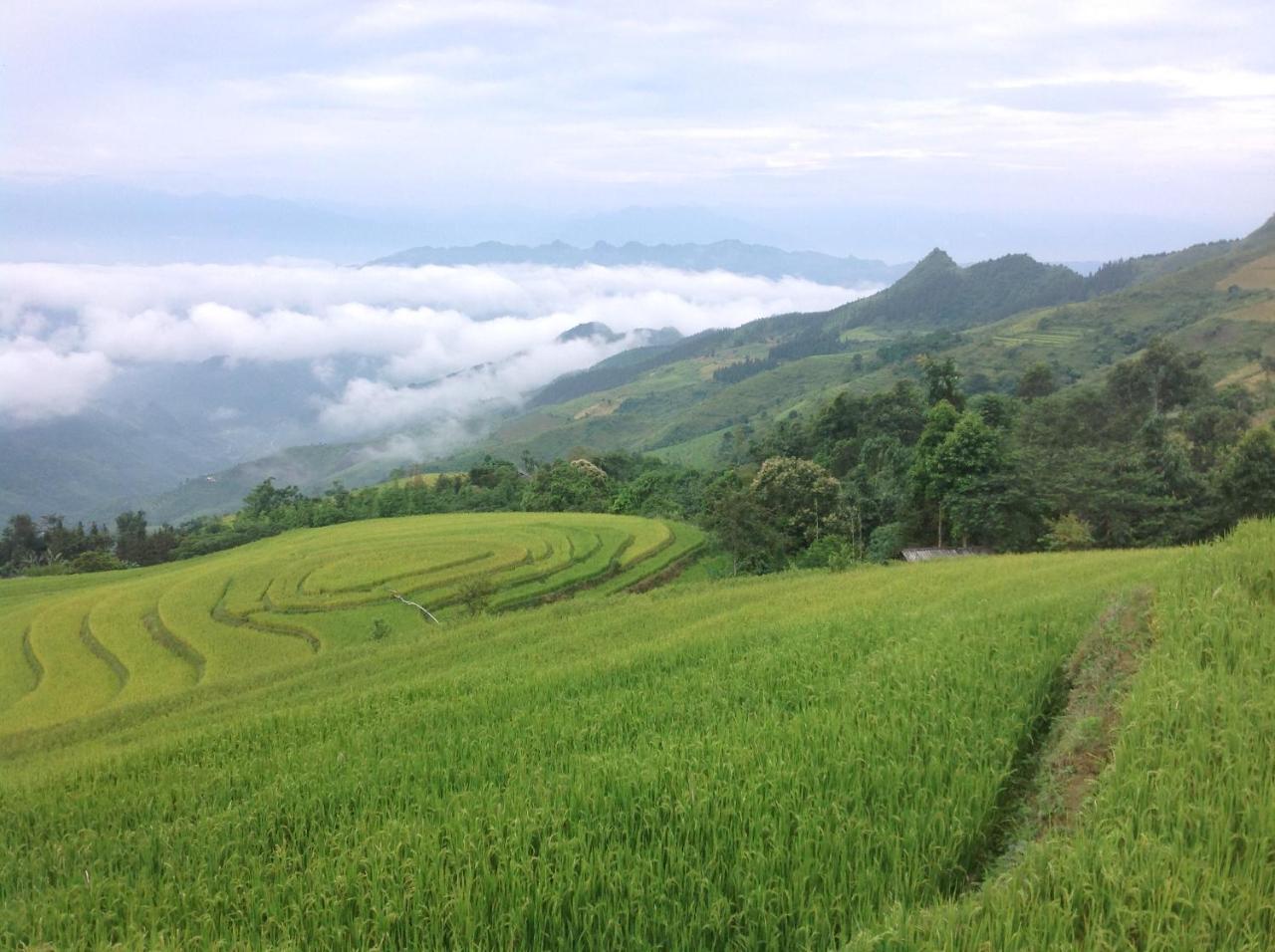 Sa House Bac Ha Lägenhet Exteriör bild