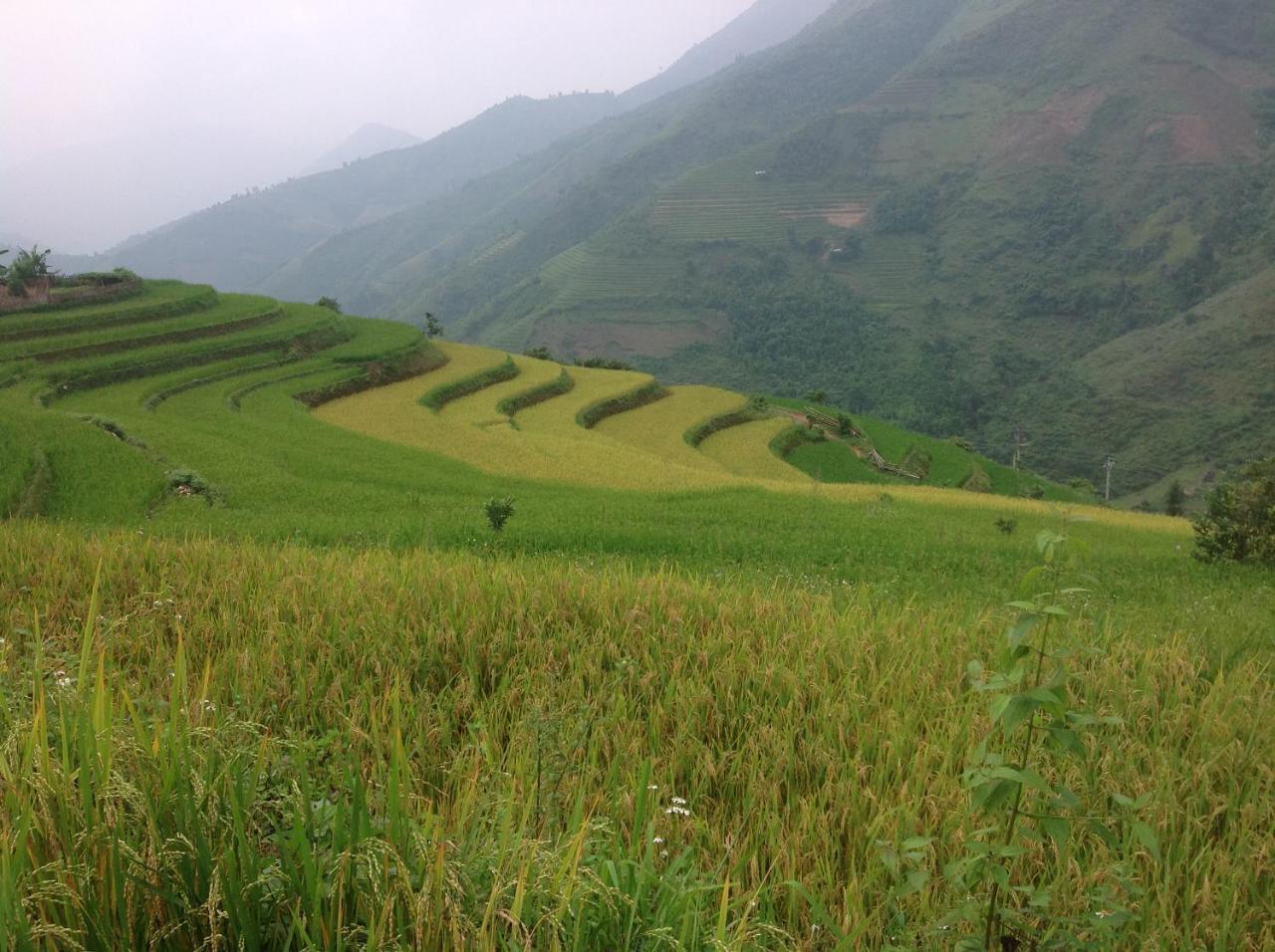 Sa House Bac Ha Lägenhet Exteriör bild