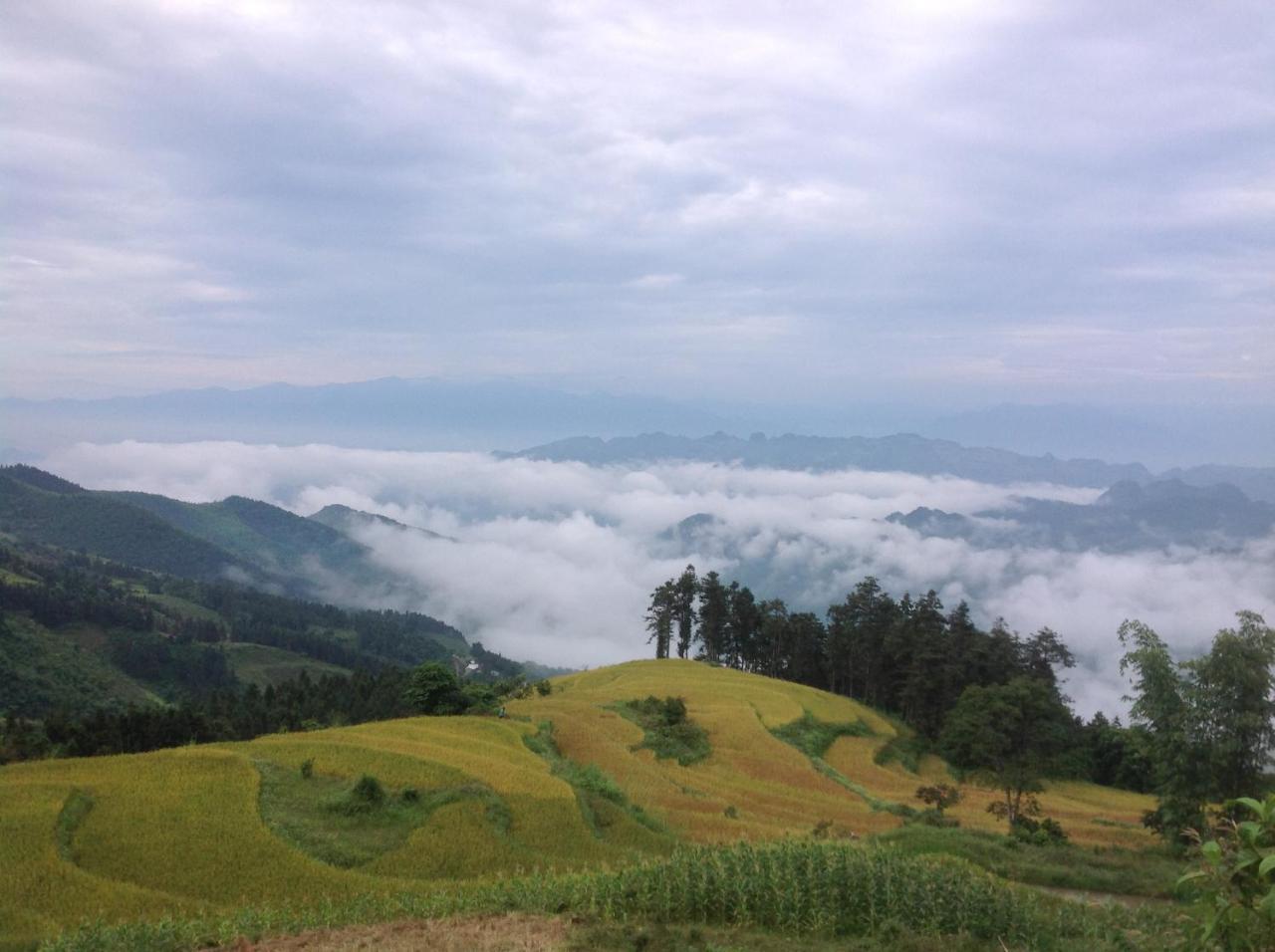 Sa House Bac Ha Lägenhet Exteriör bild