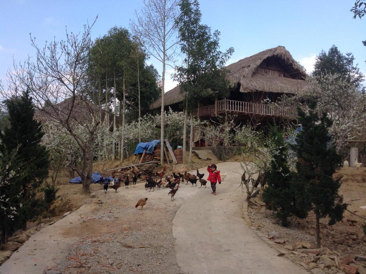 Sa House Bac Ha Lägenhet Exteriör bild