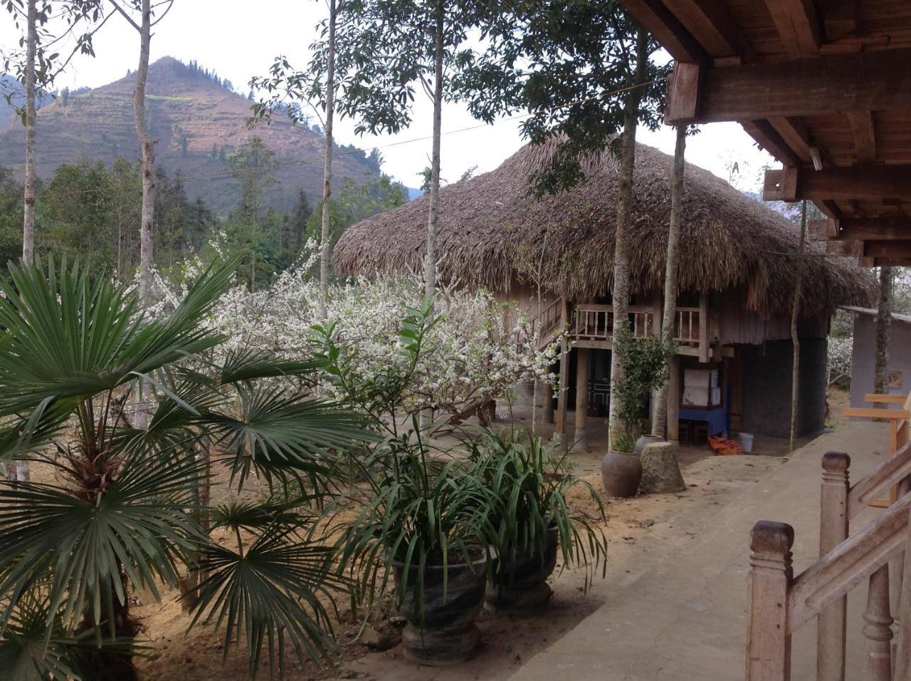 Sa House Bac Ha Lägenhet Exteriör bild