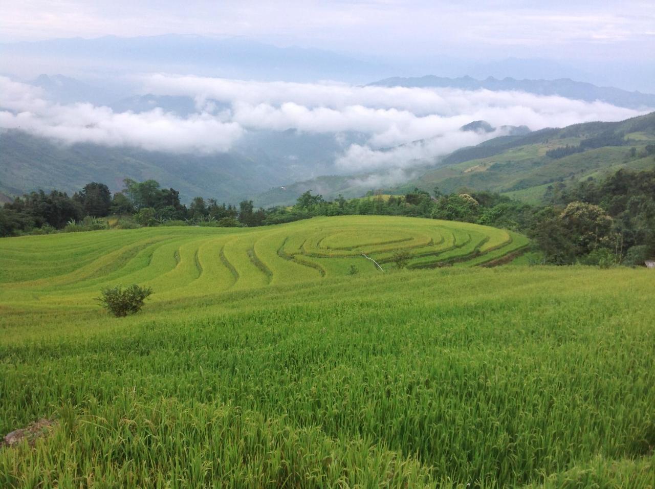 Sa House Bac Ha Lägenhet Exteriör bild