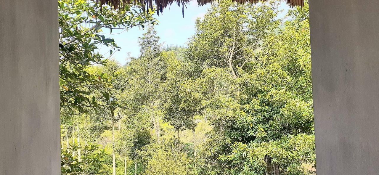 Sa House Bac Ha Lägenhet Exteriör bild